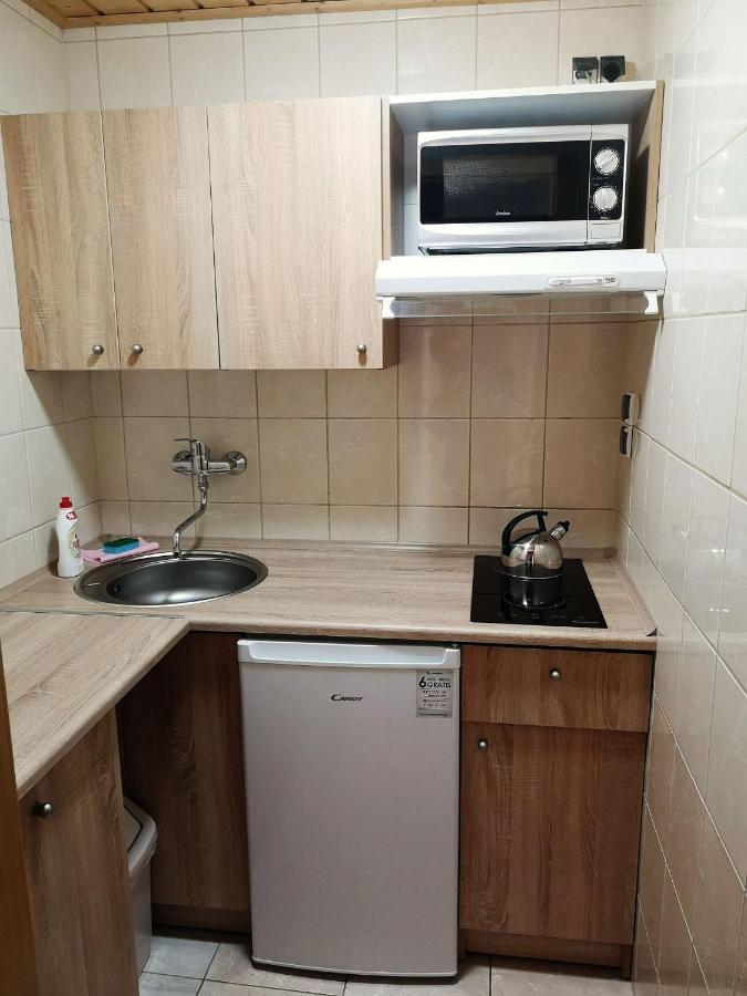Apartamenty Pokoje Przy Wyciagu 717 カルパッチ エクステリア 写真