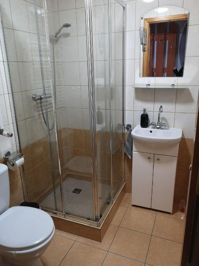 Apartamenty Pokoje Przy Wyciagu 717 カルパッチ エクステリア 写真