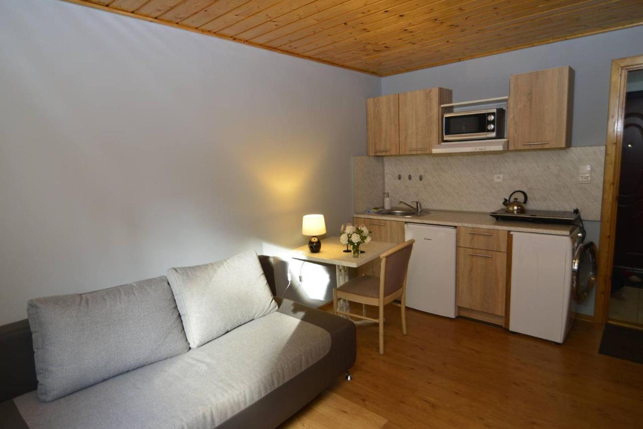 Apartamenty Pokoje Przy Wyciagu 717 カルパッチ エクステリア 写真